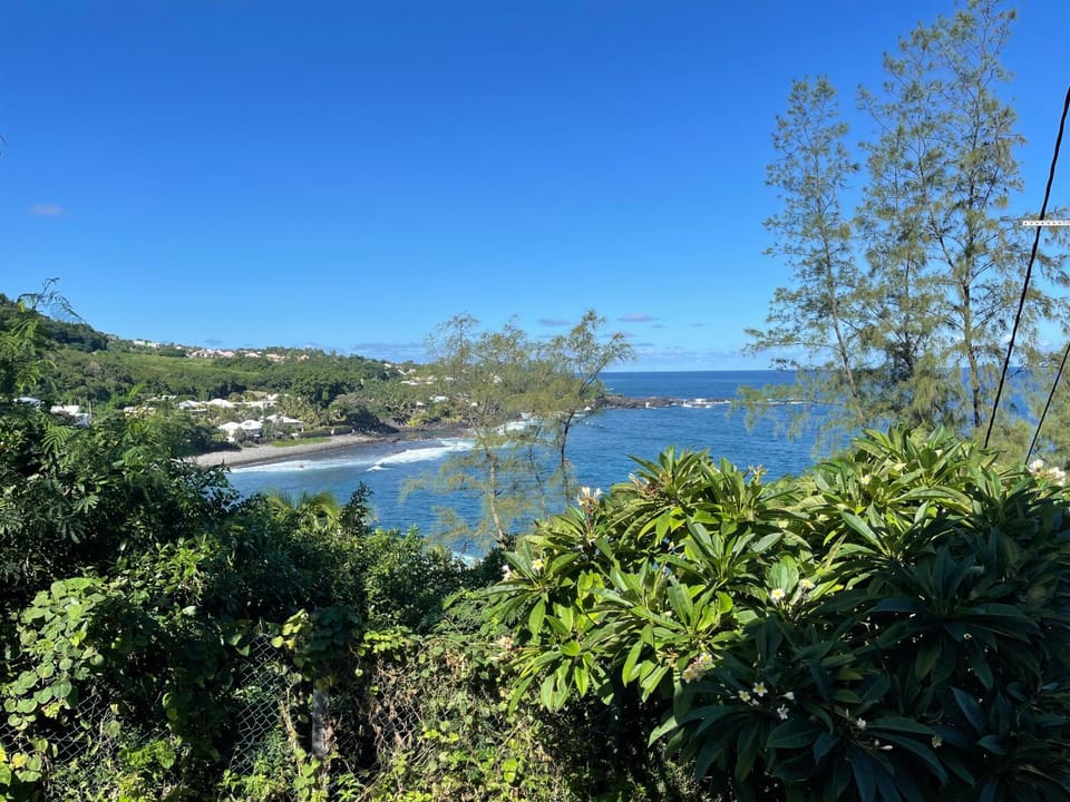 Natural landscape, Garden, View (from property/room)