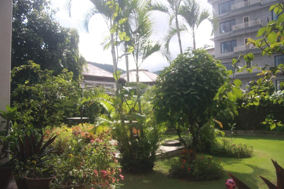 Day, Garden, Garden view