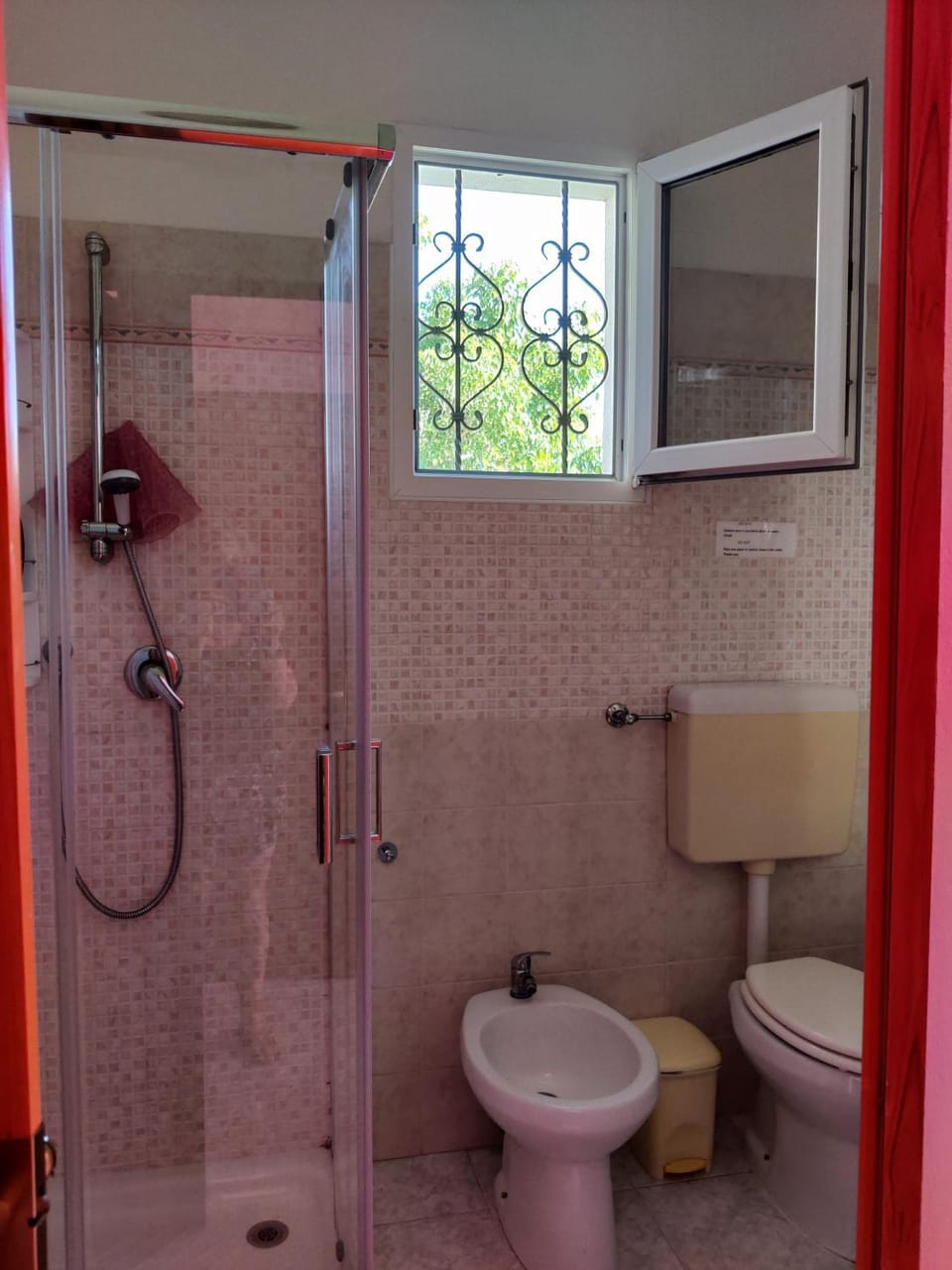 Shower, Toilet, Bathroom, bidet