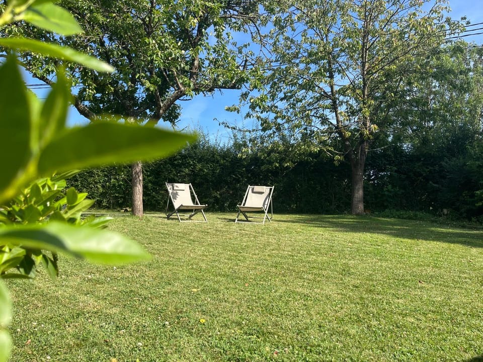 Natural landscape, Garden, Garden view, sunbed