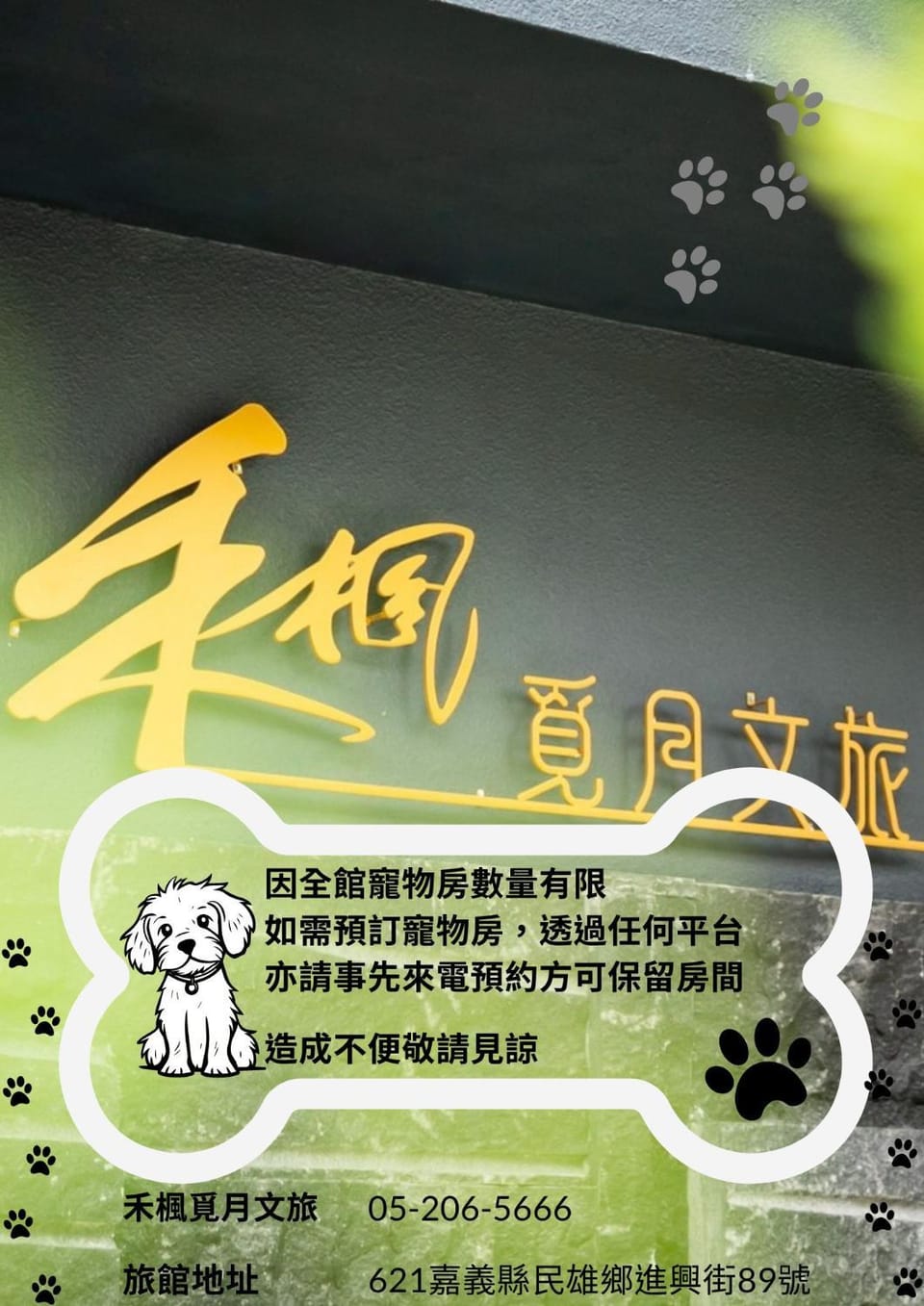 Animals, Animals, Pets, Pets