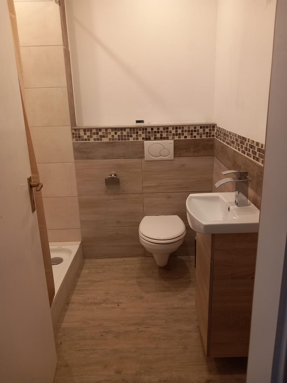 Bathroom, Living room