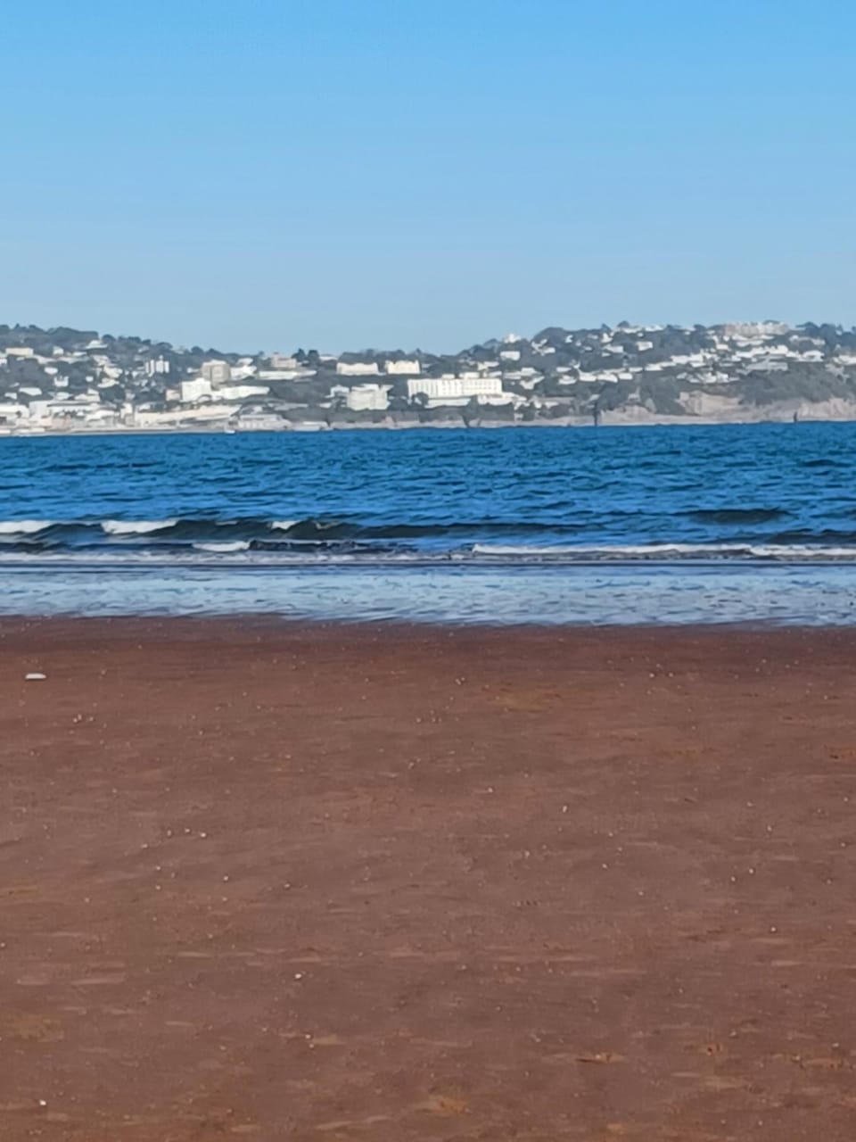 Belle Dene Guest House Bed and Breakfast in Paignton