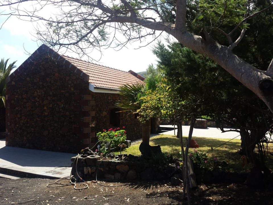 Property building, Spring, Day, Garden, Garden view