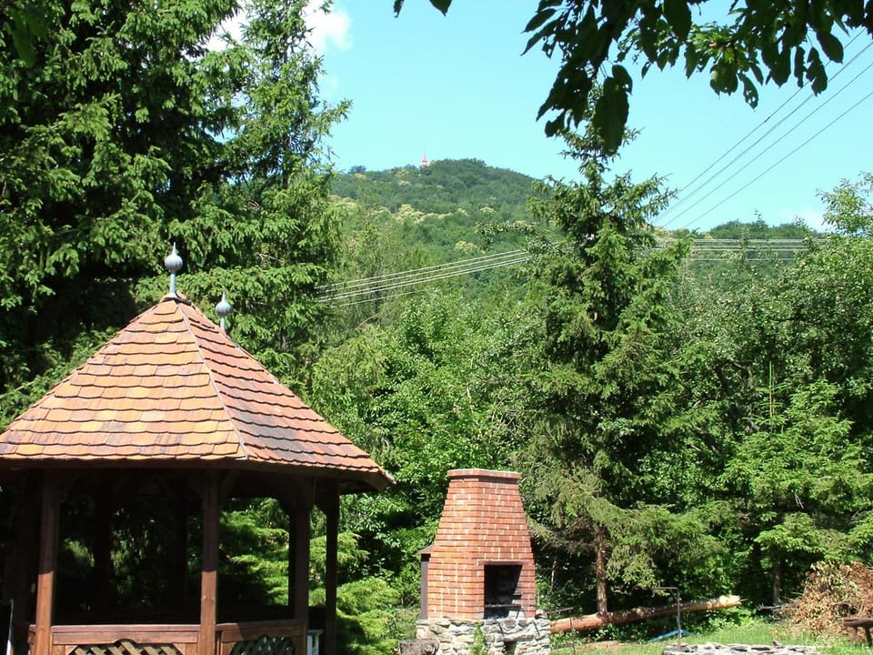 BBQ facilities, Garden