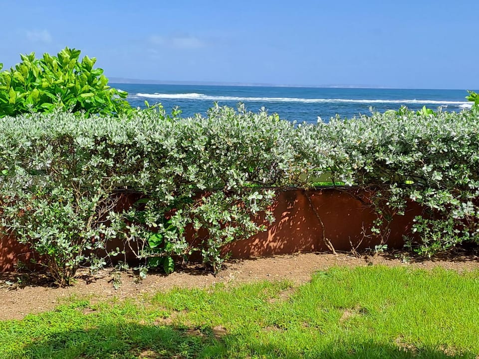 RDC appartement en bord de mer au son des vagues Apartment in Grande-Terre, Guadeloupe