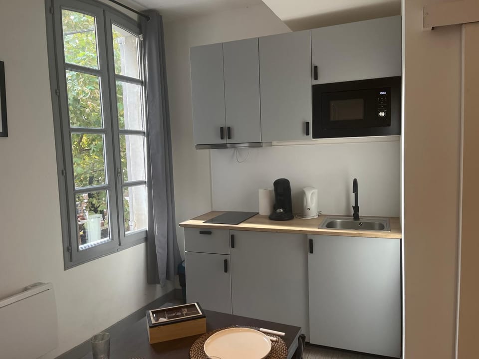 Pia - Studio 1er climatisé 2 pers Apartment in Avignon