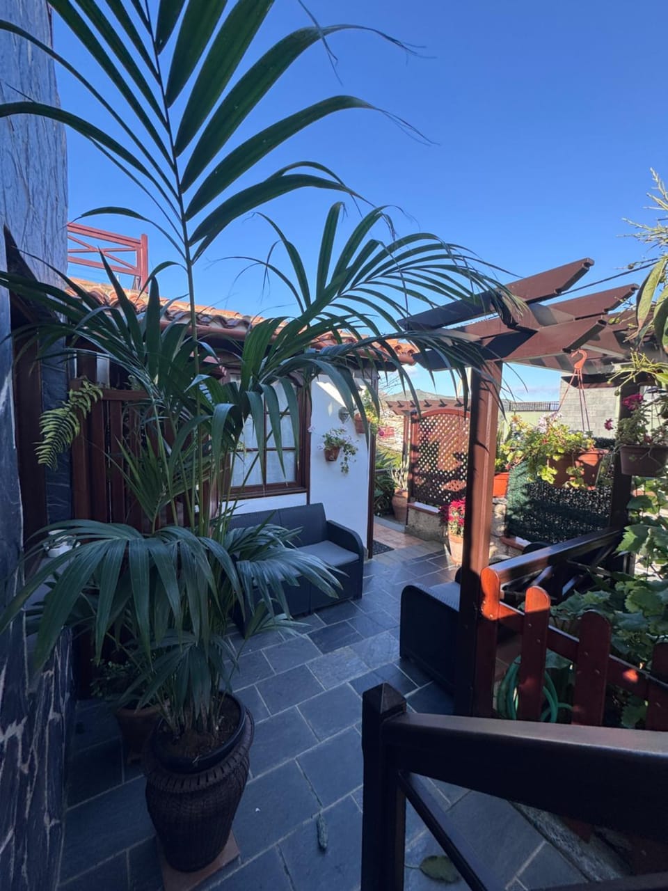 Patio, Day, Garden