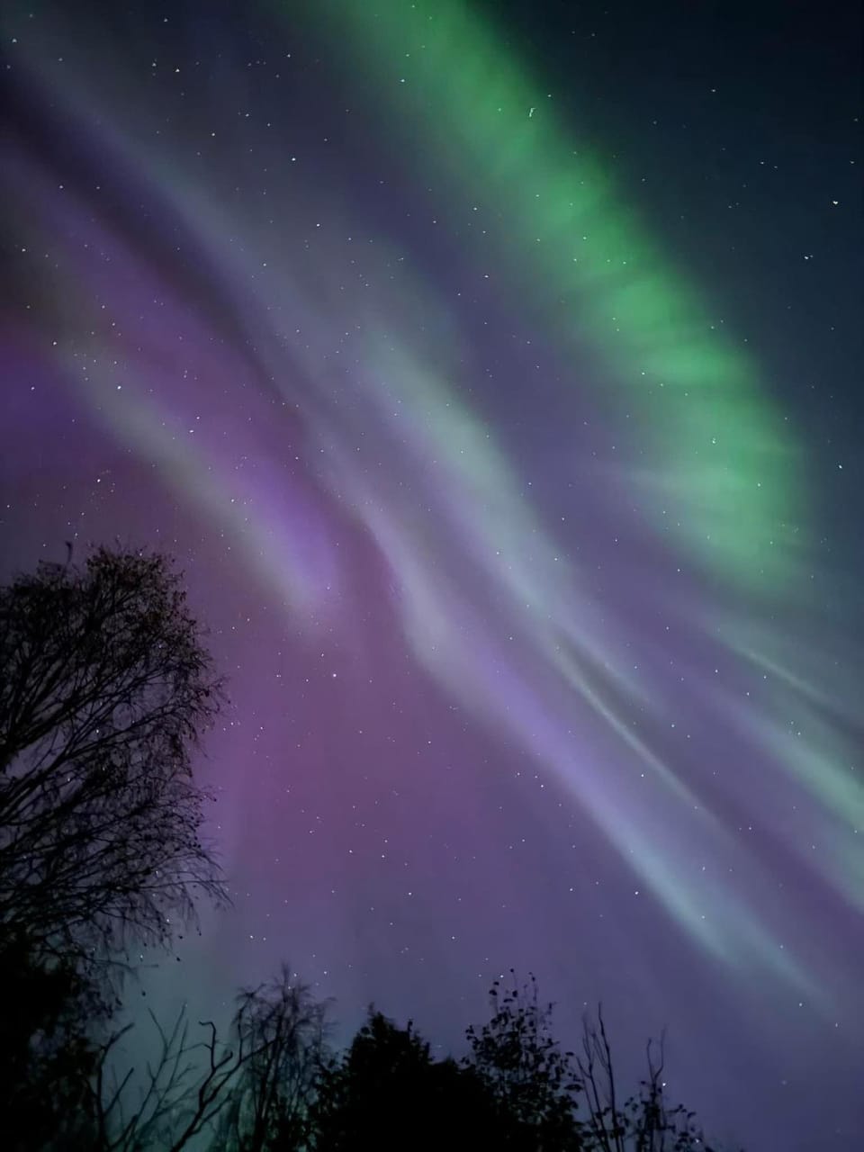 Night, Natural landscape