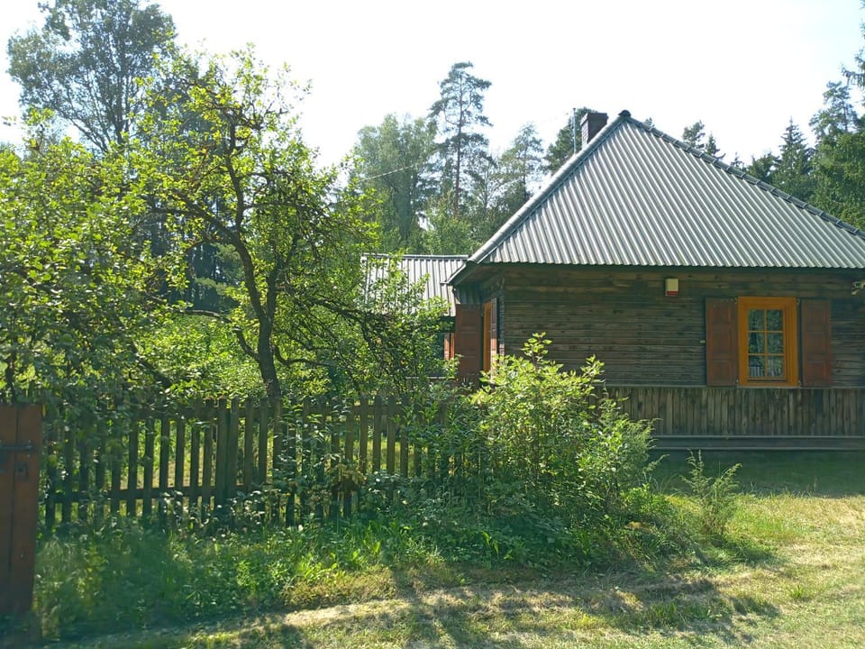 Property building, Day, Garden