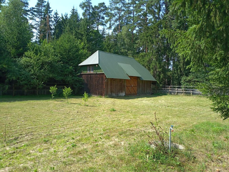 Natural landscape, Garden, Garden view