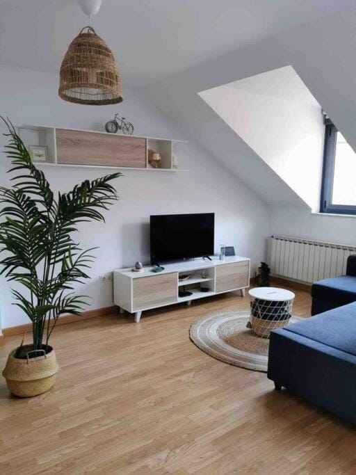 Communal lounge/ TV room, TV and multimedia, Living room