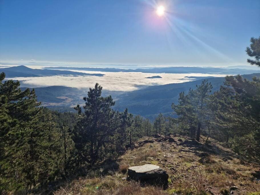 Povetarac House in Zlatibor District, Serbia