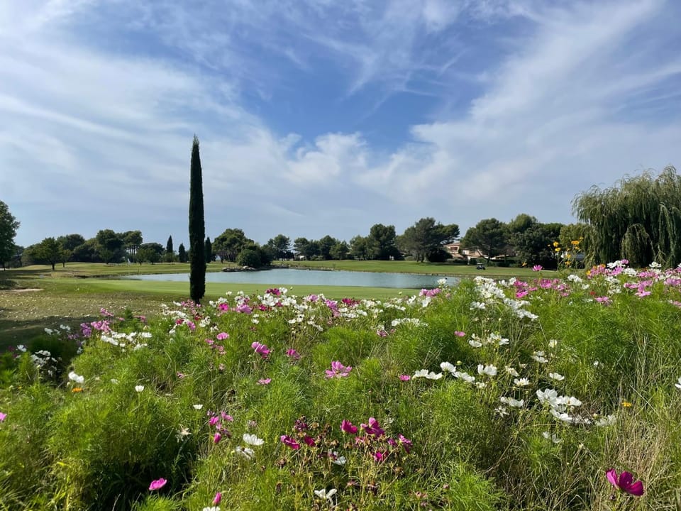LES CISTES Bed and Breakfast in Mallemort