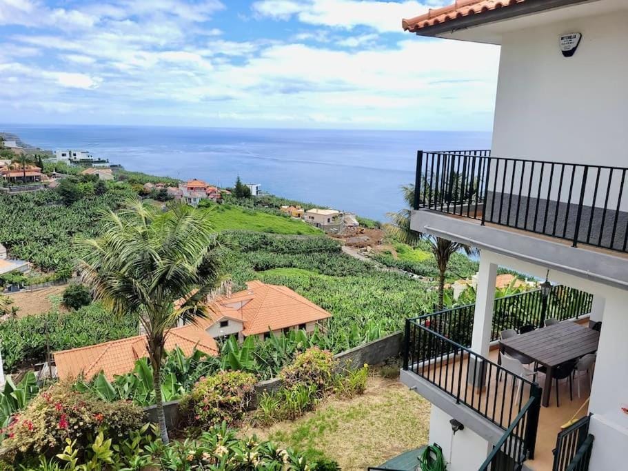 Melro's Place by Stay Madeira Villa in Madeira District