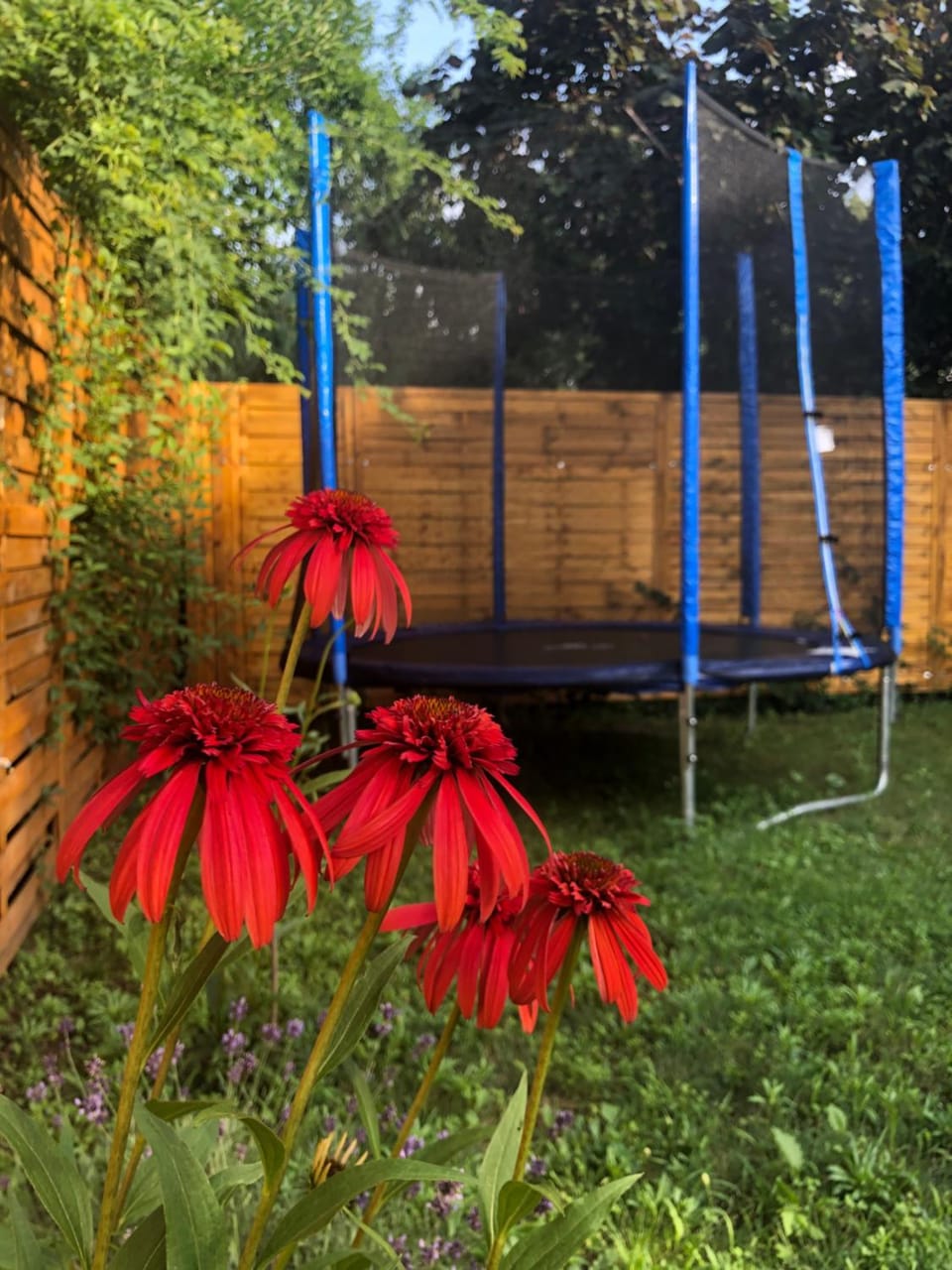 Children play ground, Garden