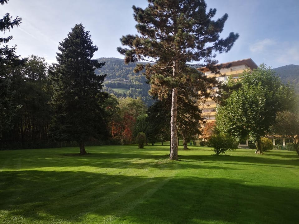 Spring, Day, Garden, Garden view, Mountain view