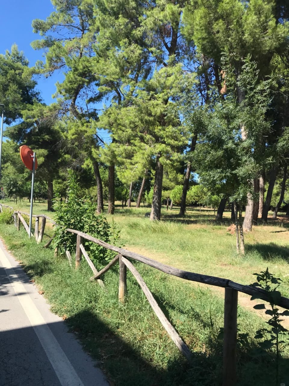 Natural landscape