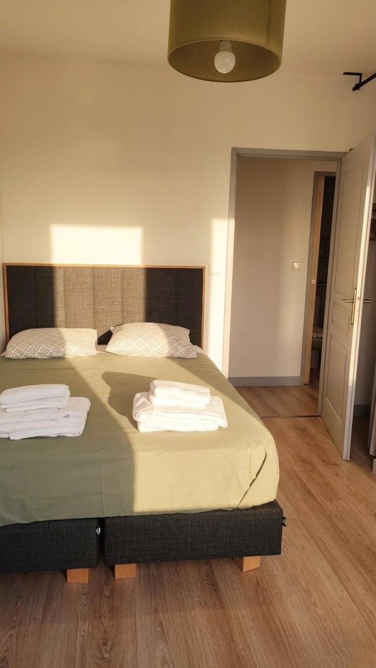 Appartement cosy avec charme historique Apartment in Chambery