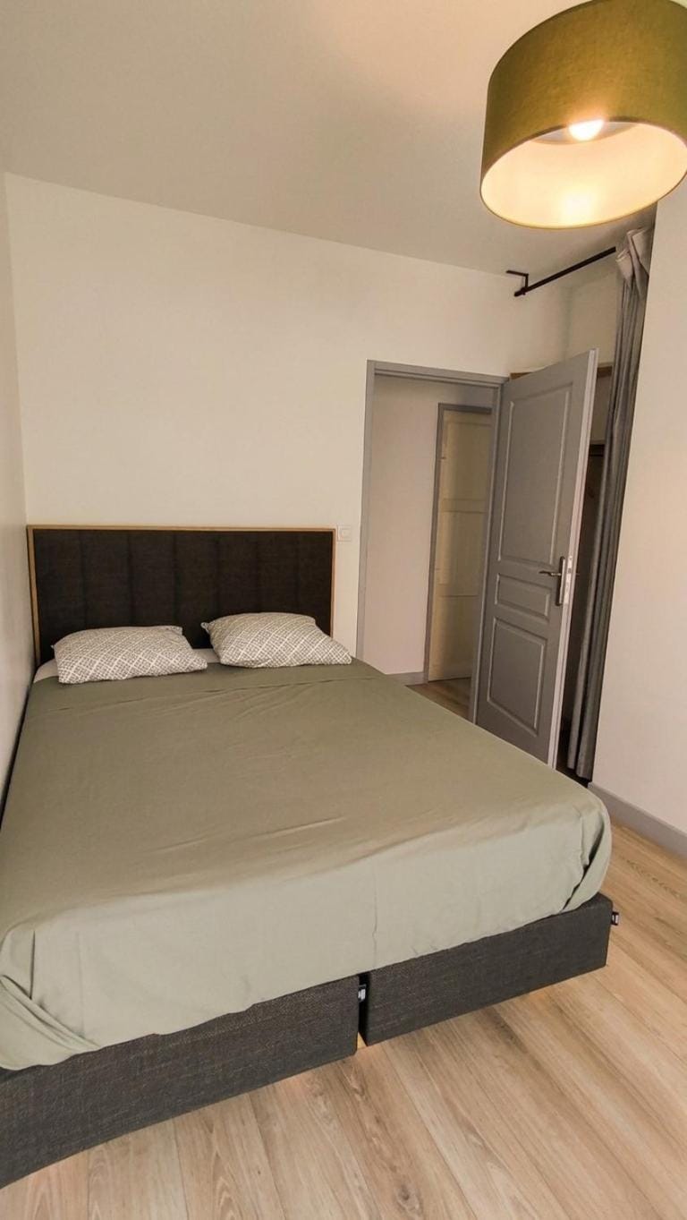 Appartement cosy avec charme historique Apartment in Chambery