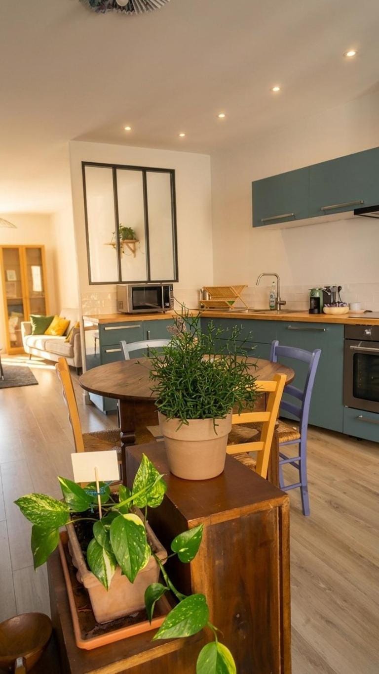 Appartement cosy avec charme historique Apartment in Chambery