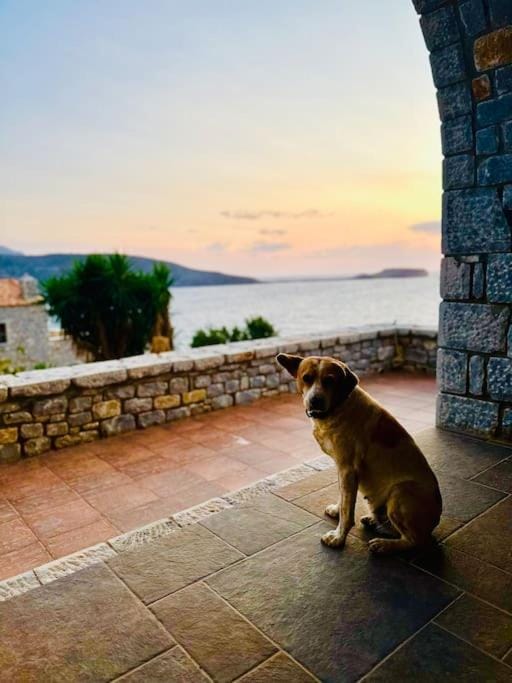 Cliffside Cozy Villa w/ Seaviews Villa in Peloponnese Region