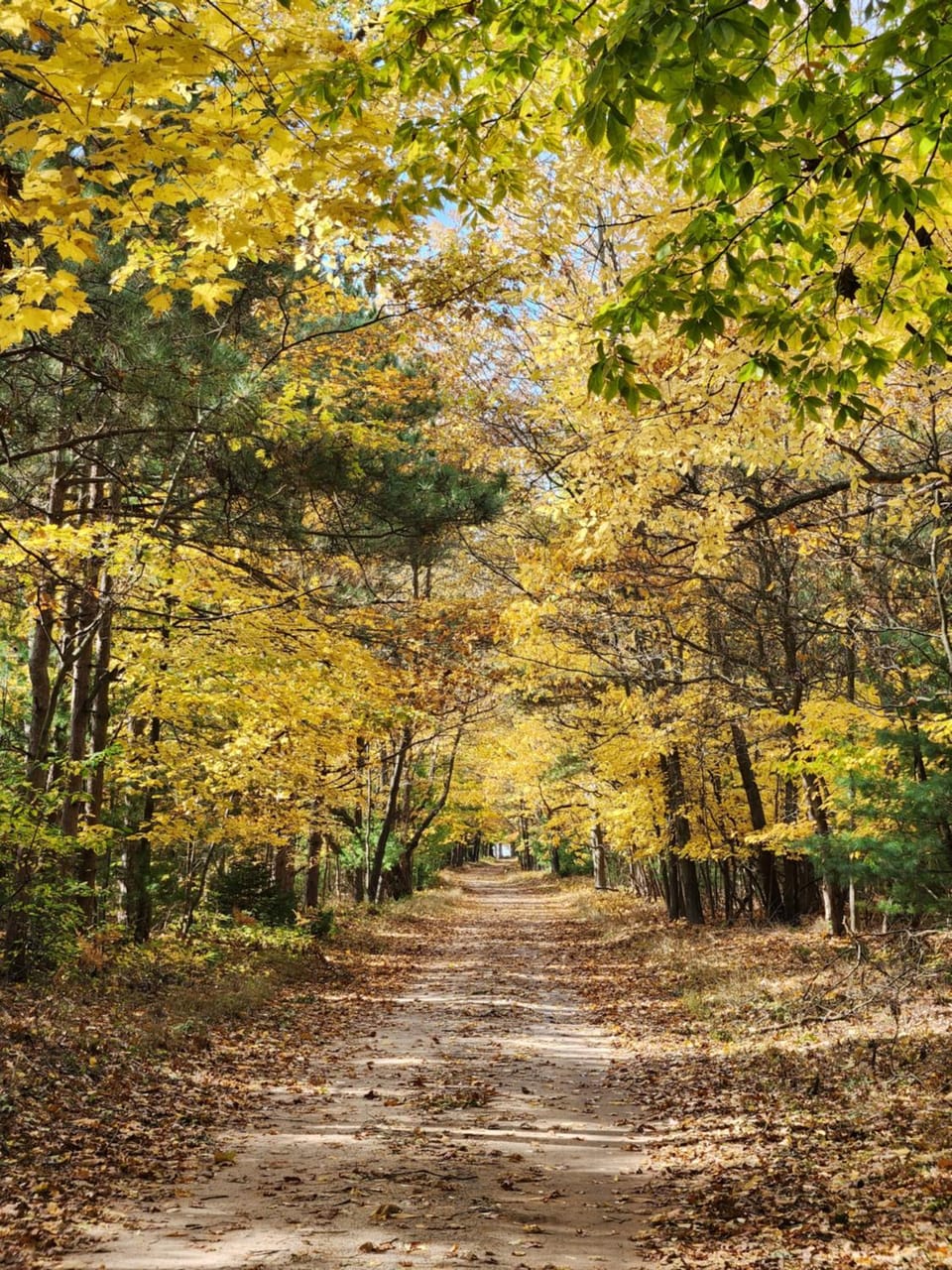 Scenic Drive Resort Campground/ 
RV Resort in Wisconsin