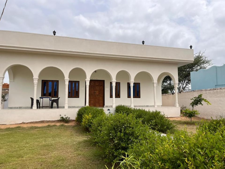 Patio, Garden, Garden view