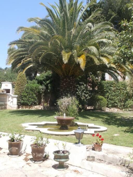 Garden view