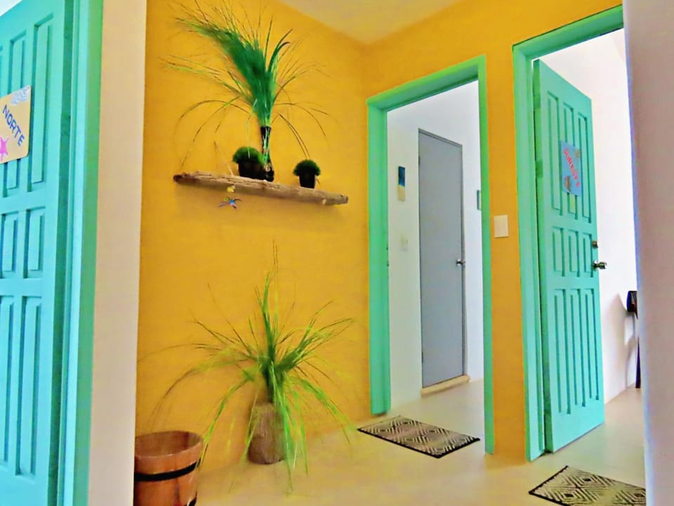 Casa Brisamar , Studios Apartment in Puerto Morelos