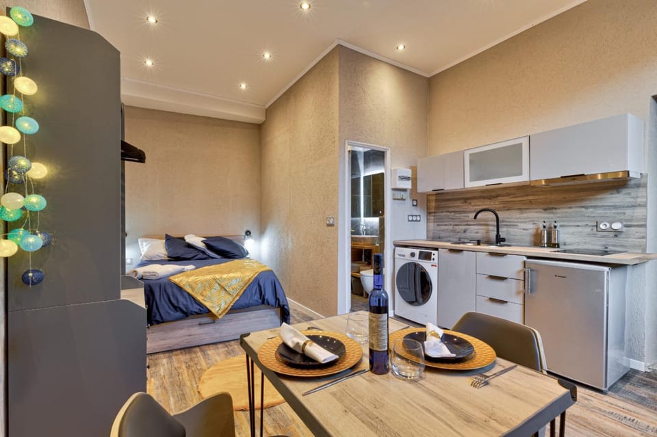 Studio Le Dauphin hyper centre Apartment in Aix-les-Bains