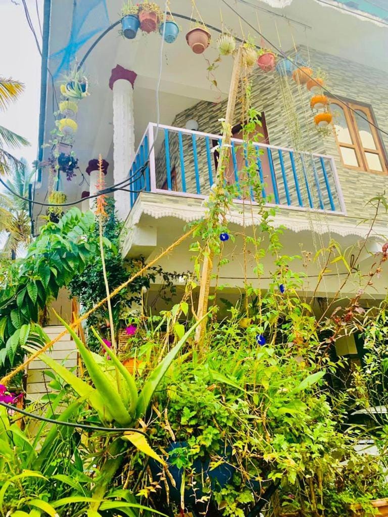 Property building, Garden, Balcony/Terrace