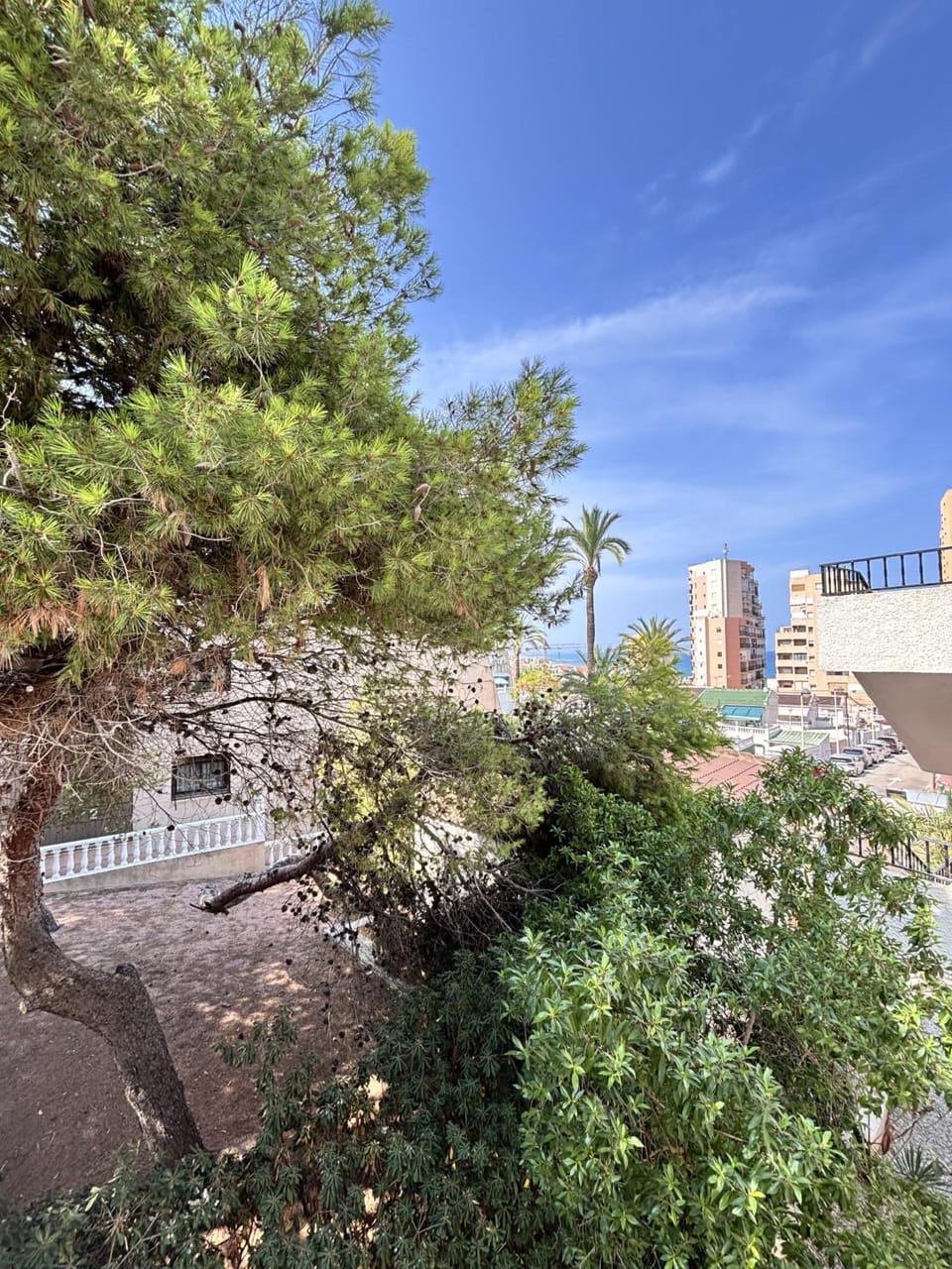 Day, Garden, Garden view