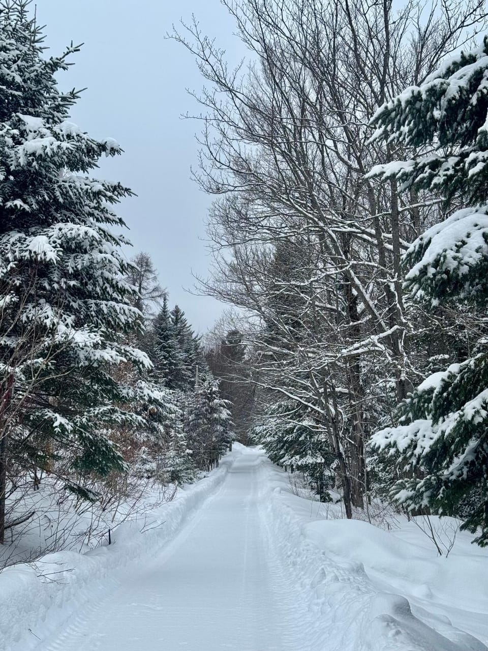 Natural landscape, Winter