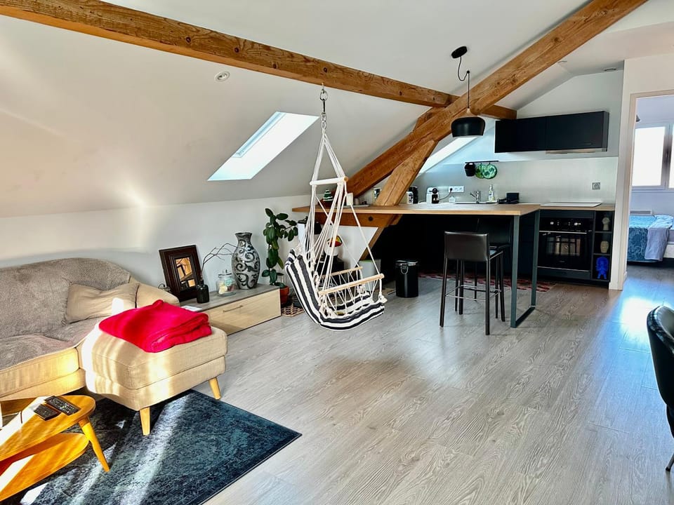 appart du Vernay Apartment in Annecy