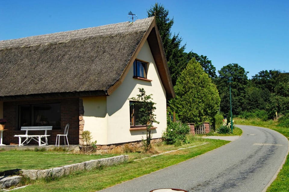 Property building, Spring, Neighbourhood, Natural landscape, Garden view