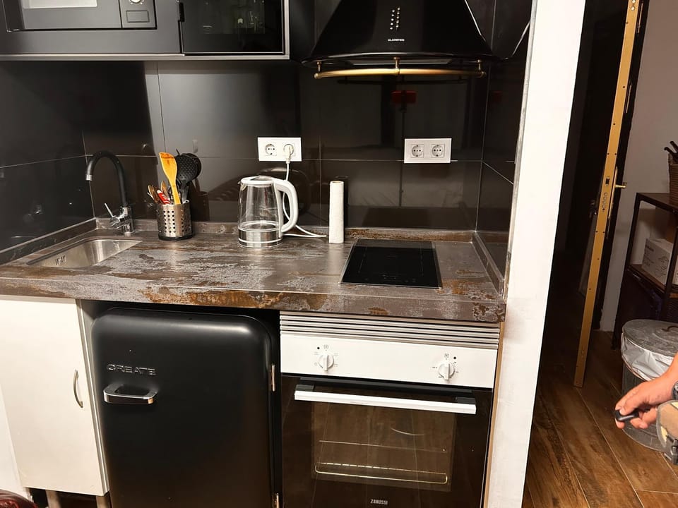 Kitchen or kitchenette, minibar, pet friendly, stove