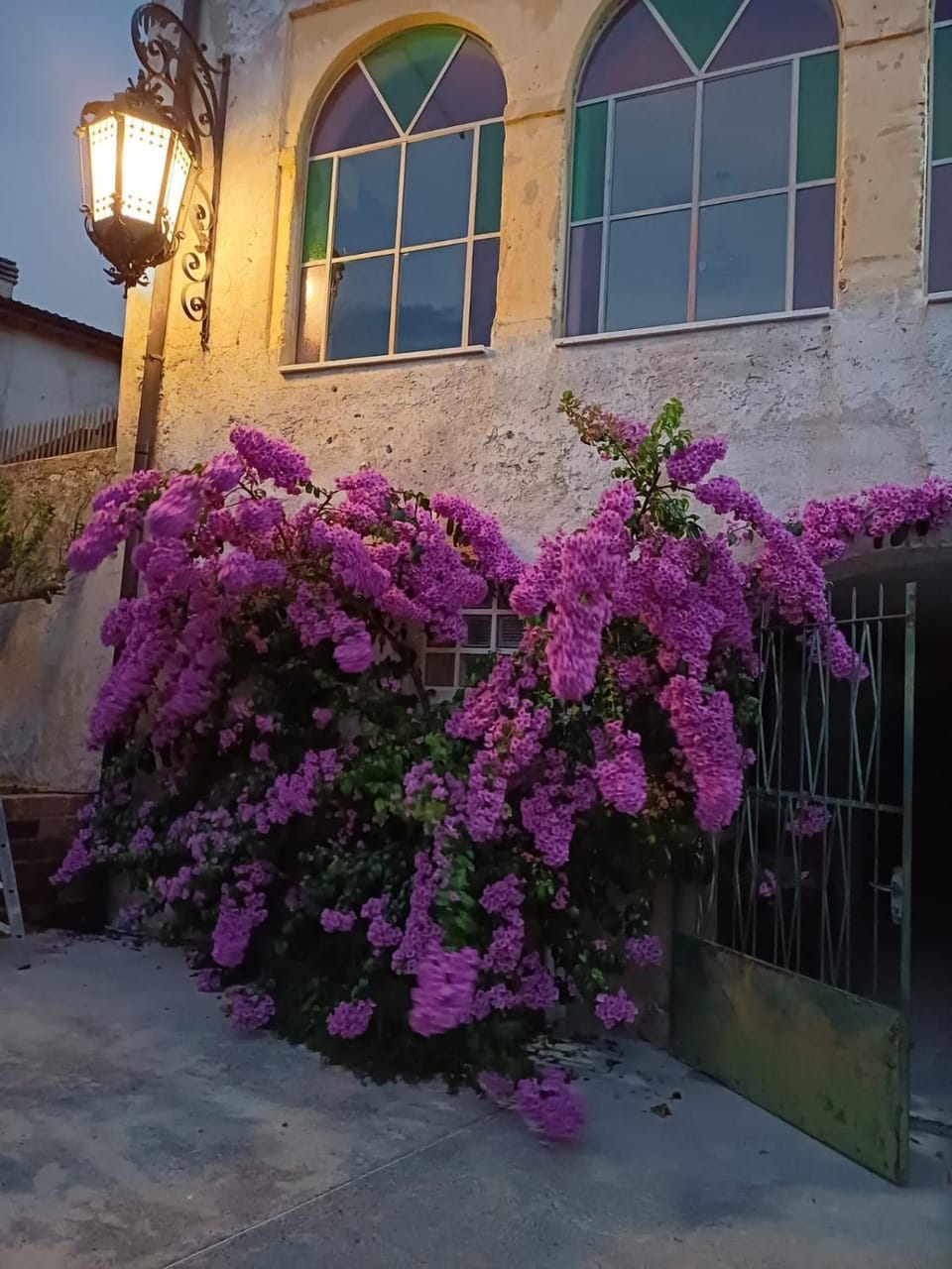 Property building, Spring