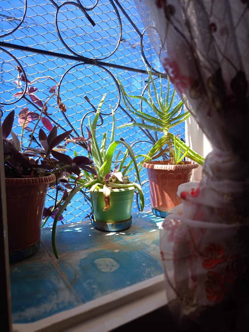 Dar El Bakkalia Apartment in Chefchaouen