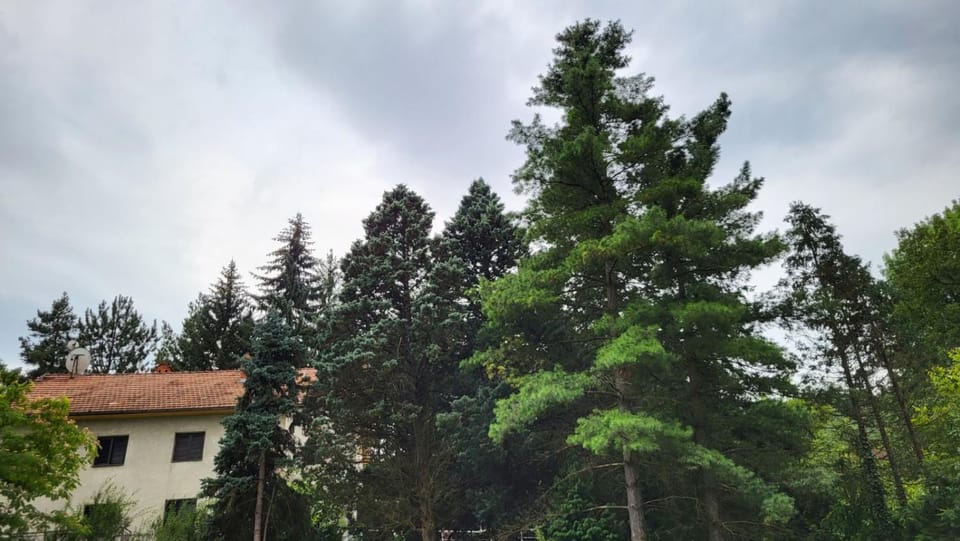 DAH BOROVA - BANJA TOPILO Country House in Serbia