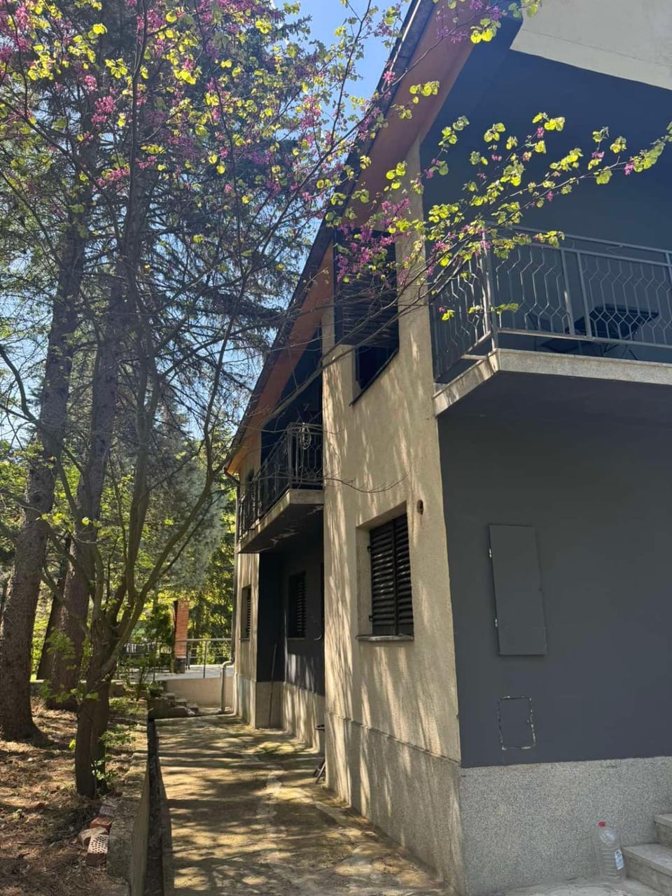 DAH BOROVA - BANJA TOPILO Country House in Serbia