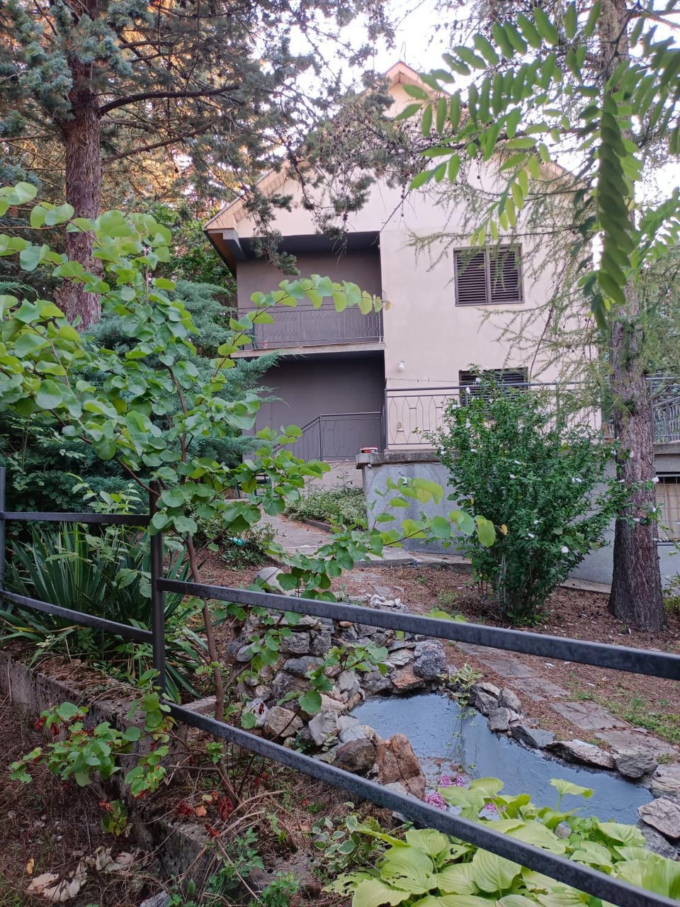 DAH BOROVA - BANJA TOPILO Country House in Serbia