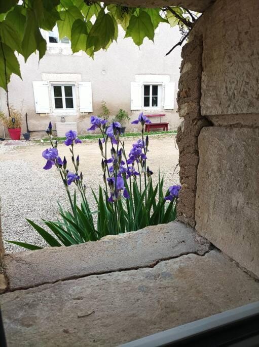 Gîte de charme - 3 chambres, 5 lits - de 4 à 7 personnes House in Nouvelle-Aquitaine