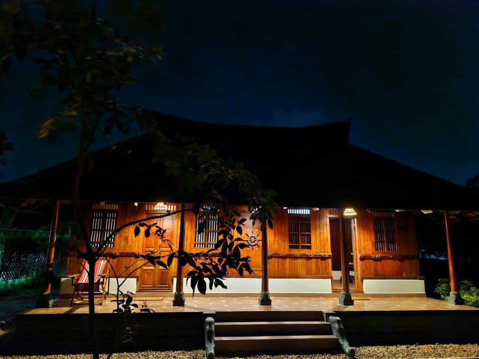 Property building, Night, Garden, Garden view