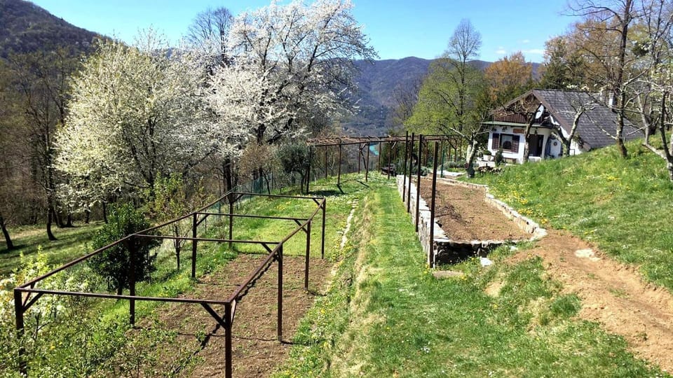 View (from property/room), Seasons