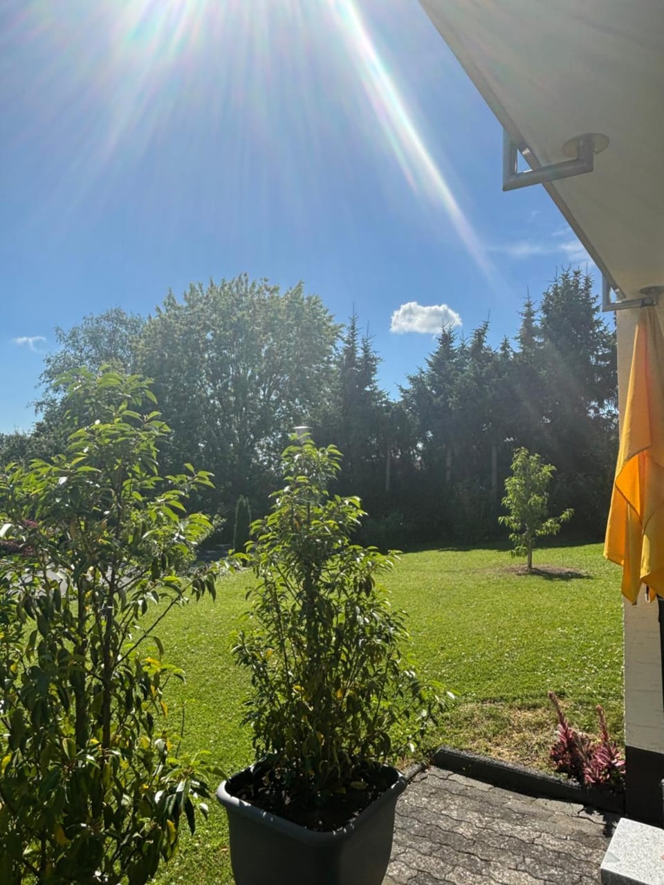 View (from property/room)