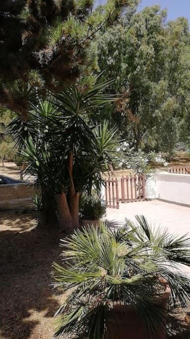 Garden, Garden, Garden view
