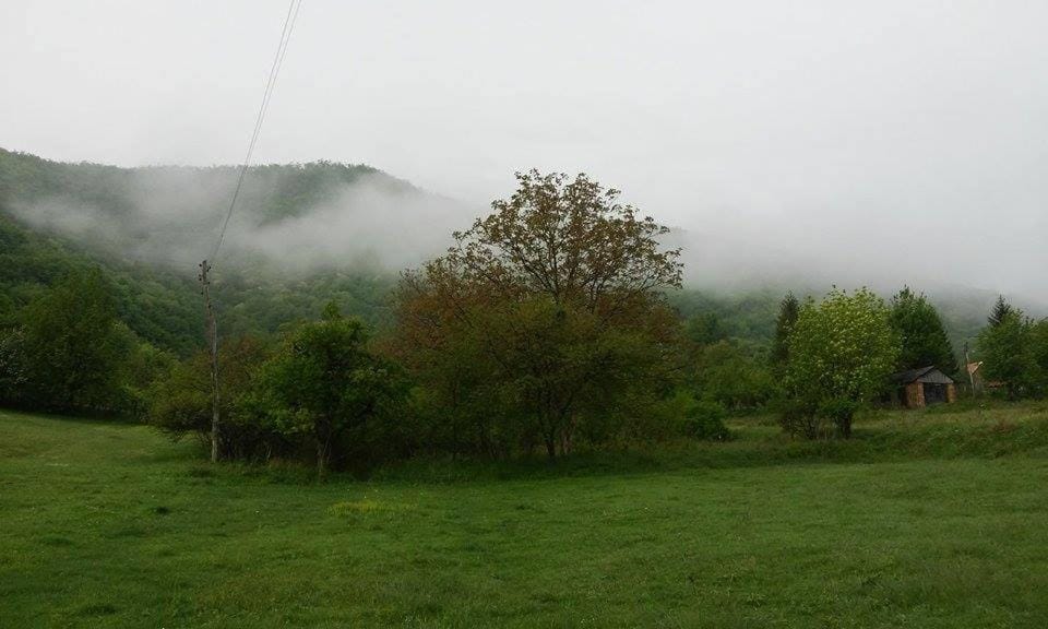 Mountain view