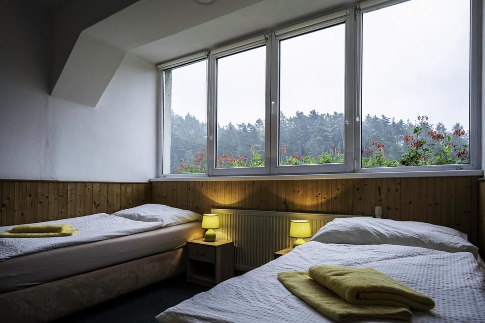 Bed, Photo of the whole room, towels