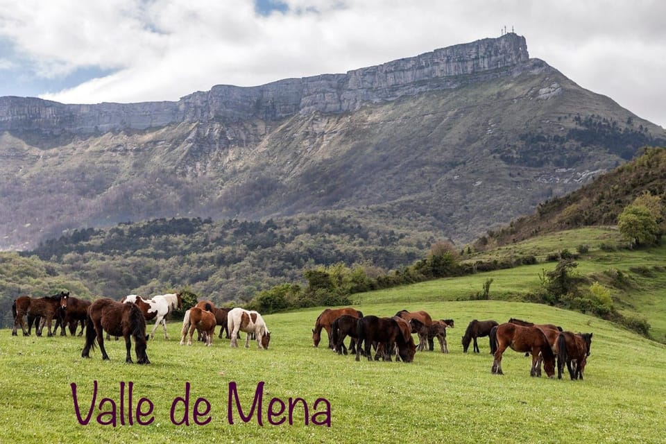 Chalet Camino Verde - PUENTEDEY House in Cantabria